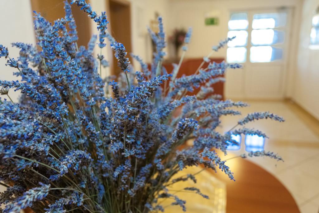 Apartment Iva زادار المظهر الخارجي الصورة